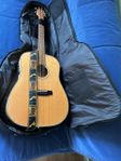 Gigbag by Warwick Deluxe Hollowbody