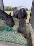 Hösilage. Ensilage