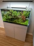 Akvarium - ADA 90P + Bänk + tillbehör