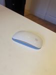 Magic Mouse 