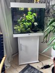 Juwel Lido 200 liters akvarium komplett