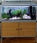 202 liters akvarium med bord till salu