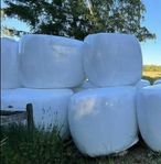 Hösilage förstaskörd 2024