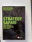 Strategy Safari: Your Complete Guide 