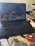 TOSHIBA laptop