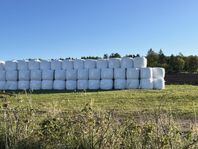 Ensilage/Hästfoder