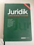 Juridik: Civilrätt, straffrätt, processrätt - upplaga 4