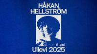 Håkan Hellström 4 st sittplatser 13/6