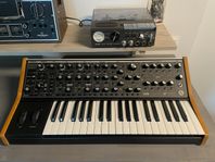 Moog Subsequent 37