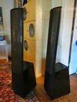 Martin Logan ESL electro