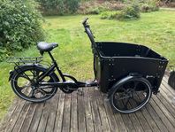 Cargobike Delight