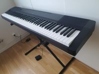 Casio CDP-120BK Digitalpiano 