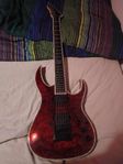 Solar, Ltd, Bc rich