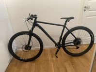 White XC 290 LTD GX 1X12 24, mountainbike, hardtail, herr