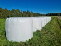 hösilage