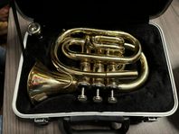 Windsor pockettrumpet