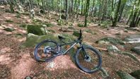 ORBEA Laufey H30