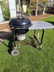 Weber klotgrill