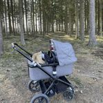 Bugaboo Fox 2