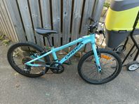 Orbea MTB MX 20 