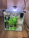 Akvarium Nano LED  bakgrund 3D 30 - 30 x 30 x 35 cm