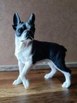 > Boston Terrier tik [ Conversation Concept inc. ]samlarhund