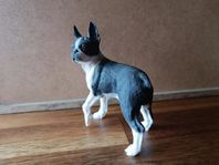 Boston Terrier  [ Conversation Concept inc. ] 