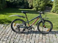 Cannondale Trail  20 tum