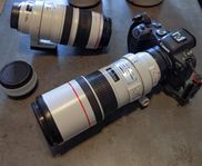 Canon EF 300mm F/4 L IS USM 