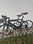 wilier triestina