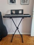 Yamaha YPT-255