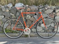 Nybyggd Retro-Crescent Singlespeed