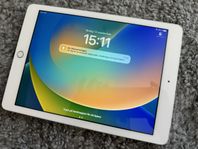 iPad 32GB (Wifi + Cellular) 5th gen