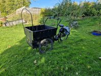 cargobike 6 sits