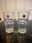 bacardi glass