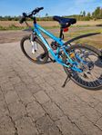 Kayoba Mountainbike