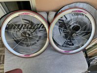 Campagnolo Shamal 12 HPW Titanium