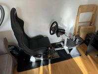 Playseat Evolution,  Racing Matta, Logitech Wheel & Shifter