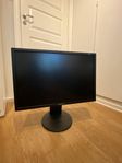 Samsung 60hz Skärm