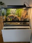 Terrarium Exo Terra 90x45x60