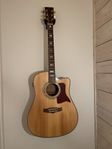 Tanglewood TW1000 Sundance