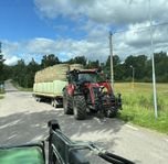 torrhö/hösilage