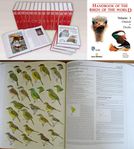 Handbook Of The Birds of The World