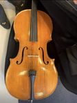 Fin tysk 1/2 cello