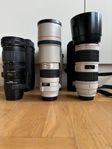 canon 70-200 II/300mm och sigma 70-200