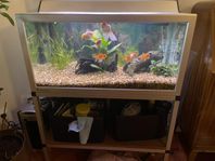 Akvarium 110 liter