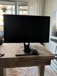 BenQ 24" XL2430T / 1ms / 144Hz