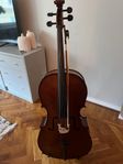 CELLO 4/4 