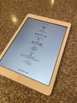 IPad Air vit/silver