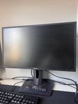 ASUS MG248QR 144hz Gamingskärm 